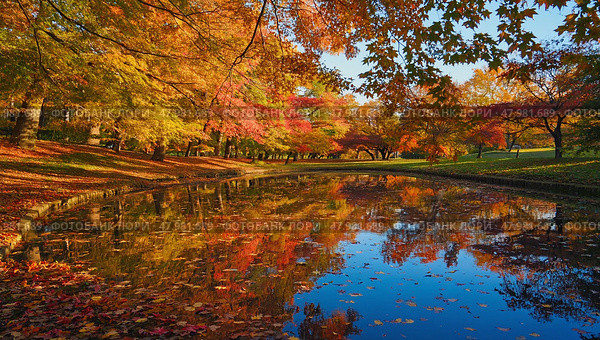 The autumn season is reflected by its beauty on the water surface of the lake. Yellow autumn leaves have covered all the trees and a carpet of grass, which is reflected on the water surface. Стоковое AI-изображение, AI-художник Антон Слабоспицкий / Фотобанк Лори