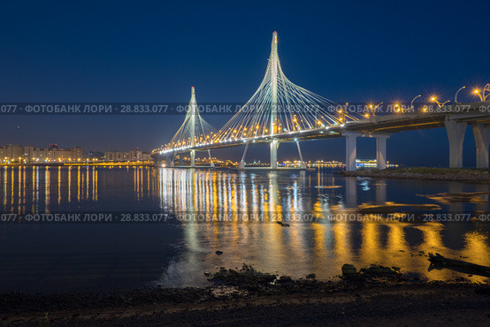The cable-stayed bridge across the Petrovsky fairway of the western high-speed diameter. Russia. St. Petersburg. Стоковое фото, фотограф Ольга Визави / Фотобанк Лори