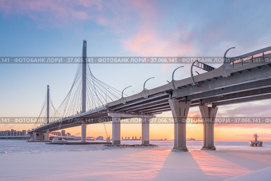 The cable-stayed bridge across the Petrovsky fairway of the western high-speed diameter. St. Petersburg. Russia. Стоковое фото, фотограф Ольга Визави / Фотобанк Лори