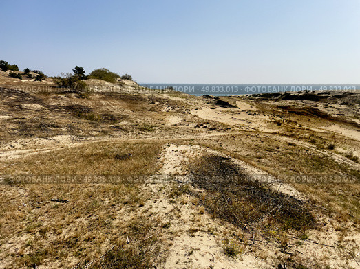 The Courish Split or Curonian Spit, Kaliningrad region, Russia (2024 год). Редакционное фото, фотограф Татьяна Кахилл / Фотобанк Лори