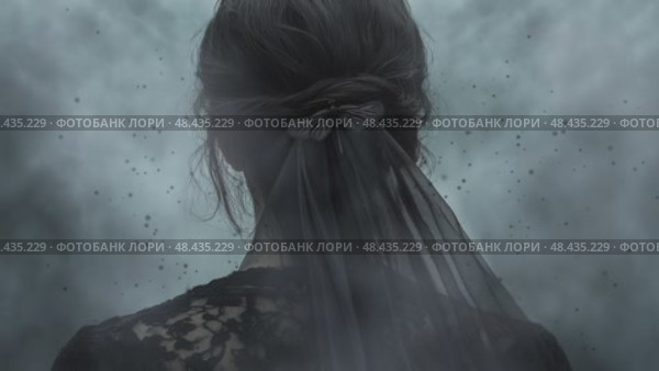 The elegance witch in the fog. Стоковое AI-видео, аниматор Виктория Новохацкая / Фотобанк Лори