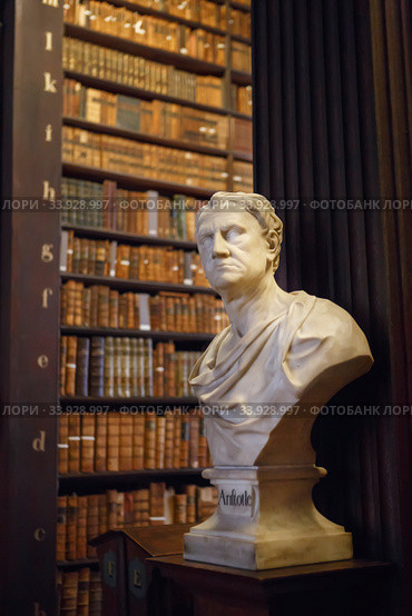 The Long Room interior Of The Old Library At Trinity College. Marble busts of great people and shelves with antique tomes (2019 год). Редакционное фото, фотограф Nataliia Zhekova / Фотобанк Лори