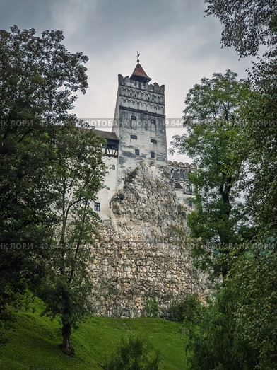 The medieval Bran fortress known as Dracula castle in Transylvania, Romania. Historical saxon style stronghold in the heart of Carpathian mountains. Стоковое фото, агентство Ingram Publishing / Фотобанк Лори