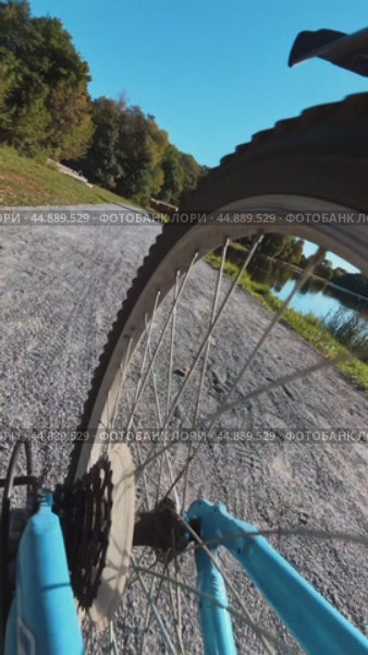 The rear wheel of the bike rotates rapidly while driving through the park. Rear view. Стоковое видео, видеограф Ярославский Максим / Фотобанк Лори