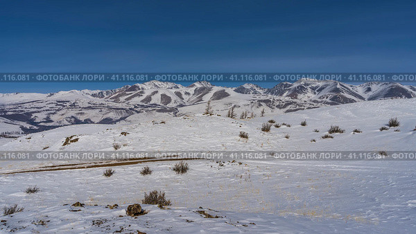 The road is trampled by cars in a snow-covered high-mountain valley. Dry grass, bushes, and rocks are visible around. A mountain range against a blue sky. Altai. Стоковое фото, фотограф Вера Ивановна Кубарева / Фотобанк Лори
