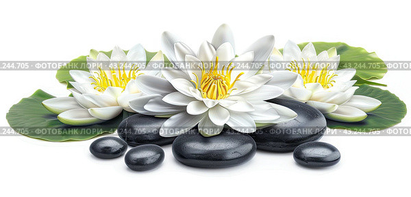 The tranquil stones for spa treatments are complemented by three lotus flowers carved on a white background. Стоковое AI-изображение, AI-художник Ярославский Максим / Фотобанк Лори