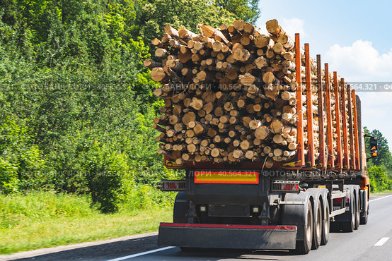 The truck transports wood on the highway export import and delivery of wood rear view. Стоковое фото, фотограф Скрипачев Антон / Фотобанк Лори