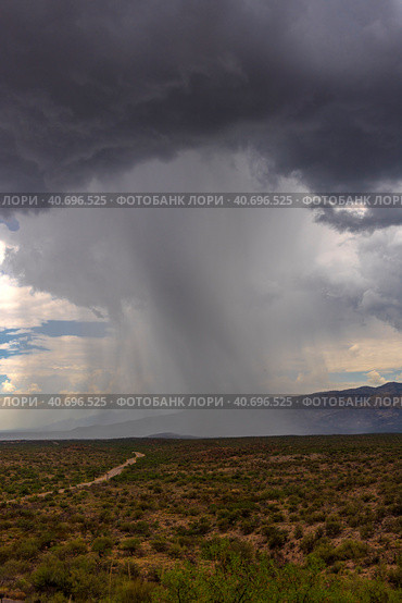 Thunderhead cloud produces rain shower over semi-desert grassland prairie. Стоковое фото, фотограф Анна Кривицкая / Фотобанк Лори