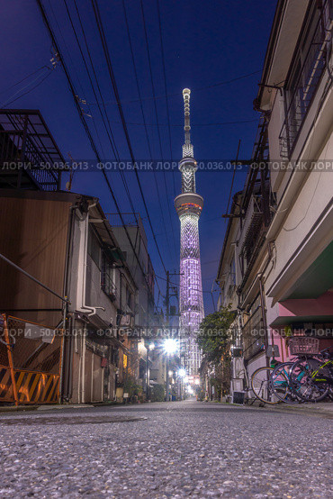 Tokyo skytree sunset in japan. Tokyo Skytree is the highest free-standing structure in Japan and 2nd in the world with over 10million visitors each year. Стоковое фото, агентство Ingram Publishing / Фотобанк Лори