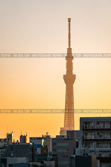 Tokyo Skytree with skyline building sunrise Ueno Japan. Стоковое фото, агентство Ingram Publishing / Фотобанк Лори