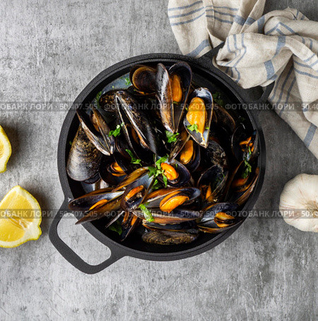 top view delicious shells arrangement. Стоковое фото, агентство Ingram Publishing / Фотобанк Лори