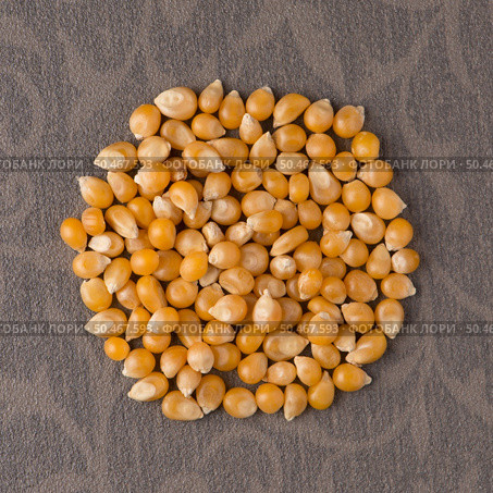 Top view of circle of corn against beige vinyl background. Стоковое фото, агентство Ingram Publishing / Фотобанк Лори