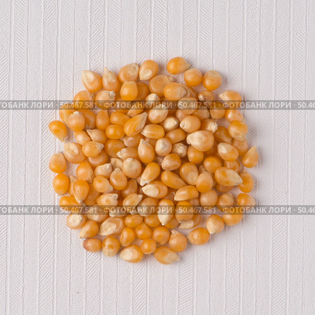 Top view of circle of corn against white vinyl background. Стоковое фото, агентство Ingram Publishing / Фотобанк Лори
