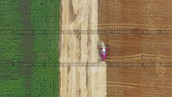 Top view of combine on harvest field. Стоковое видео, видеограф Михаил Коханчиков / Фотобанк Лори