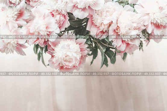 Top view of glorious pastel pink bouquet of peonies on wooden floor background. Cozy home. Стоковое фото, агентство Ingram Publishing / Фотобанк Лори