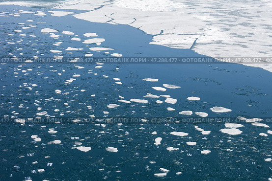Top view of spring ice drift on Baikal Lake. White pieces of ice floes and needle-like fragments of ice floes float on blue water on spring day. Changing seasons. Natural water background, texture of melting ice. Стоковое фото, фотограф Виктория Катьянова / Фотобанк Лори
