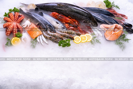 Top view of variety of fresh luxury seafood, Lobster salmon mackerel crayfish prawn octopus mussel and scallop, on ice background with icy smoke in seafood market. Photo With Copy space. Стоковое фото, агентство Ingram Publishing / Фотобанк Лори