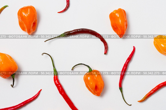 top view red hot chili peppers with white background. Стоковое фото, агентство Ingram Publishing / Фотобанк Лори