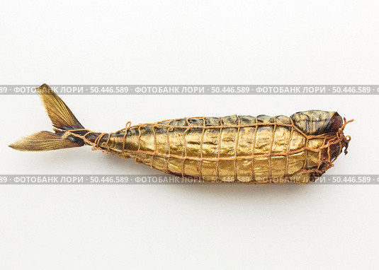 top view smoked fish white background. Стоковое фото, агентство Ingram Publishing / Фотобанк Лори