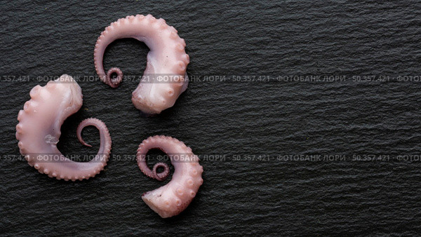 top view three small pieces octopus. Стоковое фото, агентство Ingram Publishing / Фотобанк Лори