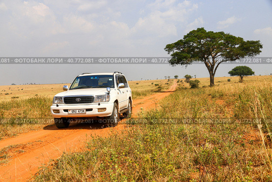 Toyota Land Cruiser 100 (2023 год). Редакционное фото, фотограф Art Konovalov / Фотобанк Лори