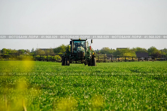 tractor with the help of a sprayer sprays liquid fertilizers on young wheat in the field. Стоковое фото, фотограф Леонид Еремейчук / Фотобанк Лори