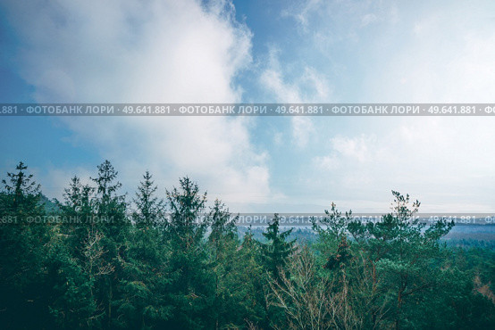 Tree tops in a misty forest with a beautiful view over the woods under a blue sky. Стоковое фото, агентство Ingram Publishing / Фотобанк Лори