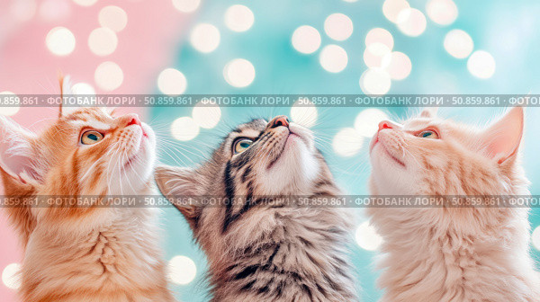 Trio of Curious Felines Gazing Upwards, Capturing a Sense of Wonder and Anticipation, Ideal for Pet-themed Greetings and Social Media. Стоковое AI-изображение, AI-художник Данила Большаков / Фотобанк Лори