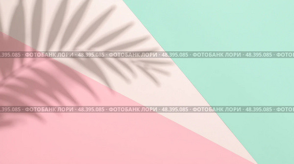 Tropical palm leaf silhouette casts sharp shadow on vibrant pastel backdrop combining mint, pink, white and soft gentle tones. Стоковое фото, фотограф Павел Муравьев / Фотобанк Лори