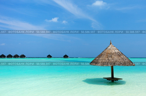 Tropical thatch umbrella on a beautiful beach at Maldives. Стоковое фото, агентство Ingram Publishing / Фотобанк Лори