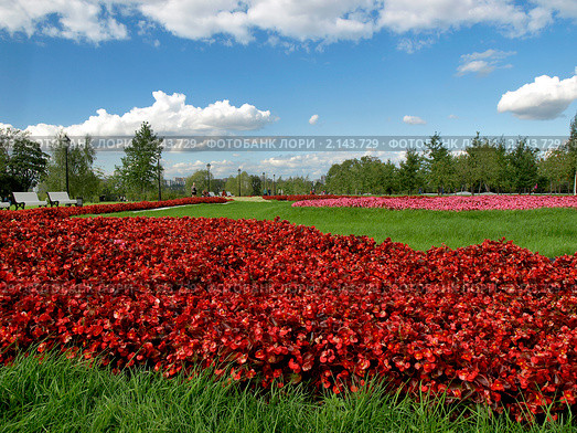 Цветники в парке Царицыно (2010 год). Редакционное фото, фотограф Самойлова Екатерина / Фотобанк Лори