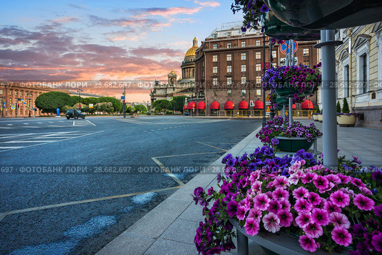 Цветы у Исаакиевского собора Lilac flowers near St. Isaac's Cathedral (2018 год). Стоковое фото, фотограф Baturina Yuliya / Фотобанк Лори