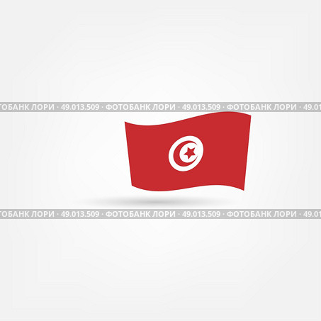 Tunisian flag icon. Стоковая иллюстрация, агентство Ingram Publishing / Фотобанк Лори