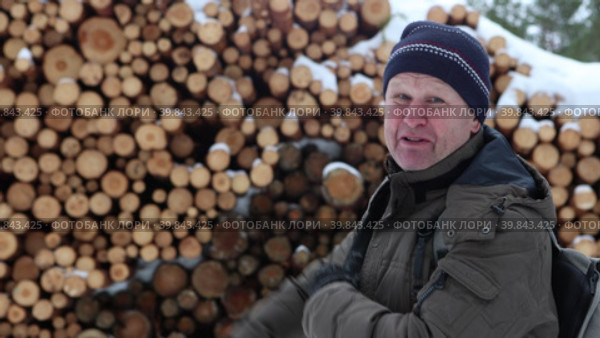 TV report about black lumberjacks, an employee of prosecutors office tells TV reporters about illegal logging. Стоковое видео, видеограф Владимир Григорьев / Фотобанк Лори