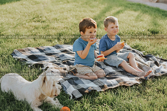 Two boys sit on a blanket and eat sandwiches in the backyard. Стоковое фото, фотограф София Тюленева / Фотобанк Лори