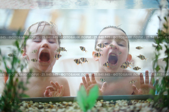 Two boys with open mouths glued to the aquarium with small fishes at the waterpark. Стоковое фото, фотограф Losevsky Pavel / Фотобанк Лори