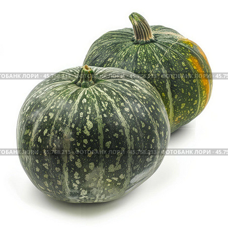 Two green pumpkins with speckled rind resting on white background. Стоковое AI-изображение, AI-художник Иван Рябоконь / Фотобанк Лори