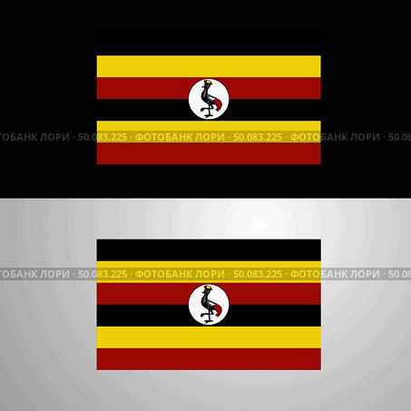 Uganda Flag banner design. Стоковая иллюстрация, агентство Ingram Publishing / Фотобанк Лори