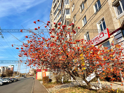 Улица Рабкоров в Уфе осенью. Республика Башкортостан (2021 год). Редакционное фото, фотограф Овчинникова Ирина / Фотобанк Лори