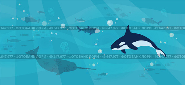 Underwater landscape with sea creatures. Large predatory marine mammals, killer whale and narwhal in ocean. Fish and marine life swimming in salty sea water. Whales and fishes, aquatic world. Underwater landscape with sea creatures. Predatory marine mammals, killer whale and narwhal in ocean. Стоковая иллюстрация, агентство Ingram Publishing / Фотобанк Лори