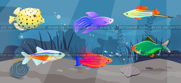 Underwater ocean fauna with fishes, seaweed and shells on sand. Ocean bottom with marine life reprsentatives. Marine underwater world with exotic fishes. Bright tropical fish floating on seabed. Tropical fish floating on seabed. Ocean bottom, underwater world with marine life reprsentatives. Стоковая иллюстрация, агентство Ingram Publishing / Фотобанк Лори