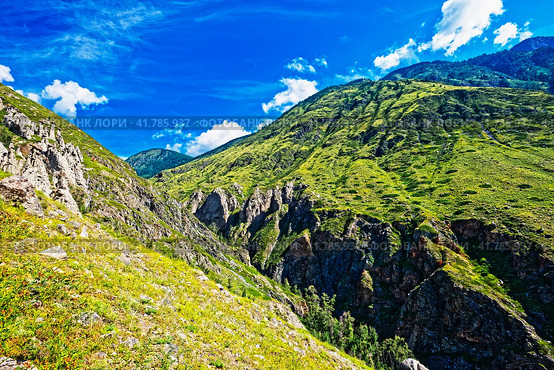 Урочище Аккурум (Ак-Корум). Горный Алтай. Стоковое фото, фотограф Макаров Алексей / Фотобанк Лори