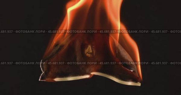 USA dollar bill money is burning in the fire, the concept of the economic crisis of inflation and currency devaluation. Стоковое видео, видеограф Андрей Армягов / Фотобанк Лори