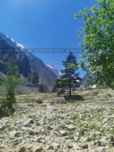 Ущелье по дороге на ледник в горах Кавказа (2021 год). Редакционное фото, фотограф Юлия Кваскова / Фотобанк Лори