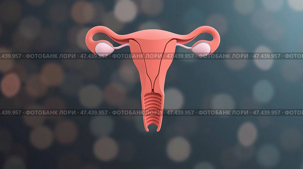 Uterus and ovaries. Medical illustration. 3d rendering. Стоковое AI-изображение, AI-художник Васильева Юлия / Фотобанк Лори