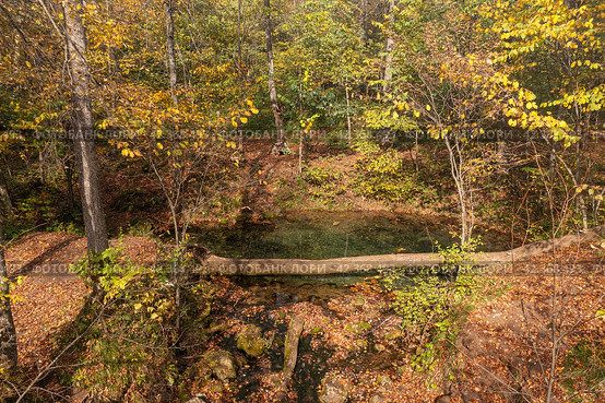 Южный Урал, карстовое озеро Голубой Грифон у реки Зилим. The Southern Urals, the Blue Griffin karst lake near the Zilim River. Стоковое фото, фотограф Евгений Романов / Фотобанк Лори