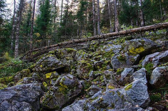 Южный Урал, курумник на подъёме на Айгирские скалы (Зубы Шурале). Southern Urals, stone placer on the ascent to the Aigir rocks (Teeth of the Shurale). Стоковое фото, фотограф Евгений Романов / Фотобанк Лори