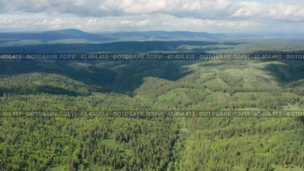 Южный Урал летом: Зилаирский район, горная тайга. Вид с воздуха. Southern Urals in the summer: Zilairsky district, mountain taiga. Aerial view. Стоковое видео, видеограф Евгений Романов / Фотобанк Лори