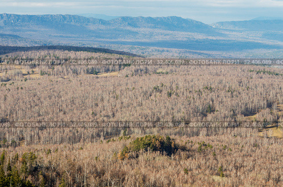 Южный Урал. Осенние горы. Вид на хребты Бакты и Кумардак. South Urals. Autumn mountains. View of the Bakty and Kumardak ridges. Стоковое фото, фотограф Евгений Романов / Фотобанк Лори