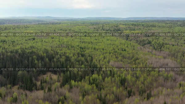 Южный Урал весной, вид на горную тайгу с воздуха. Southern Urals in spring, a view of the mountain taiga from the air. Стоковое видео, видеограф Евгений Романов / Фотобанк Лори